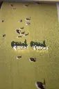 CD-GUMA-PQ5.webp