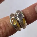 WhatsApp Image 2025-03-10 at 12.12.58 PM (1).webp